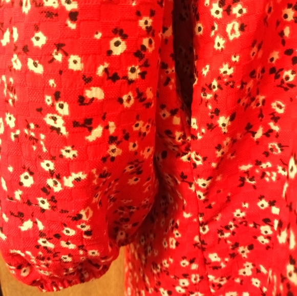 WILD FABLE - Picture 3 of 4